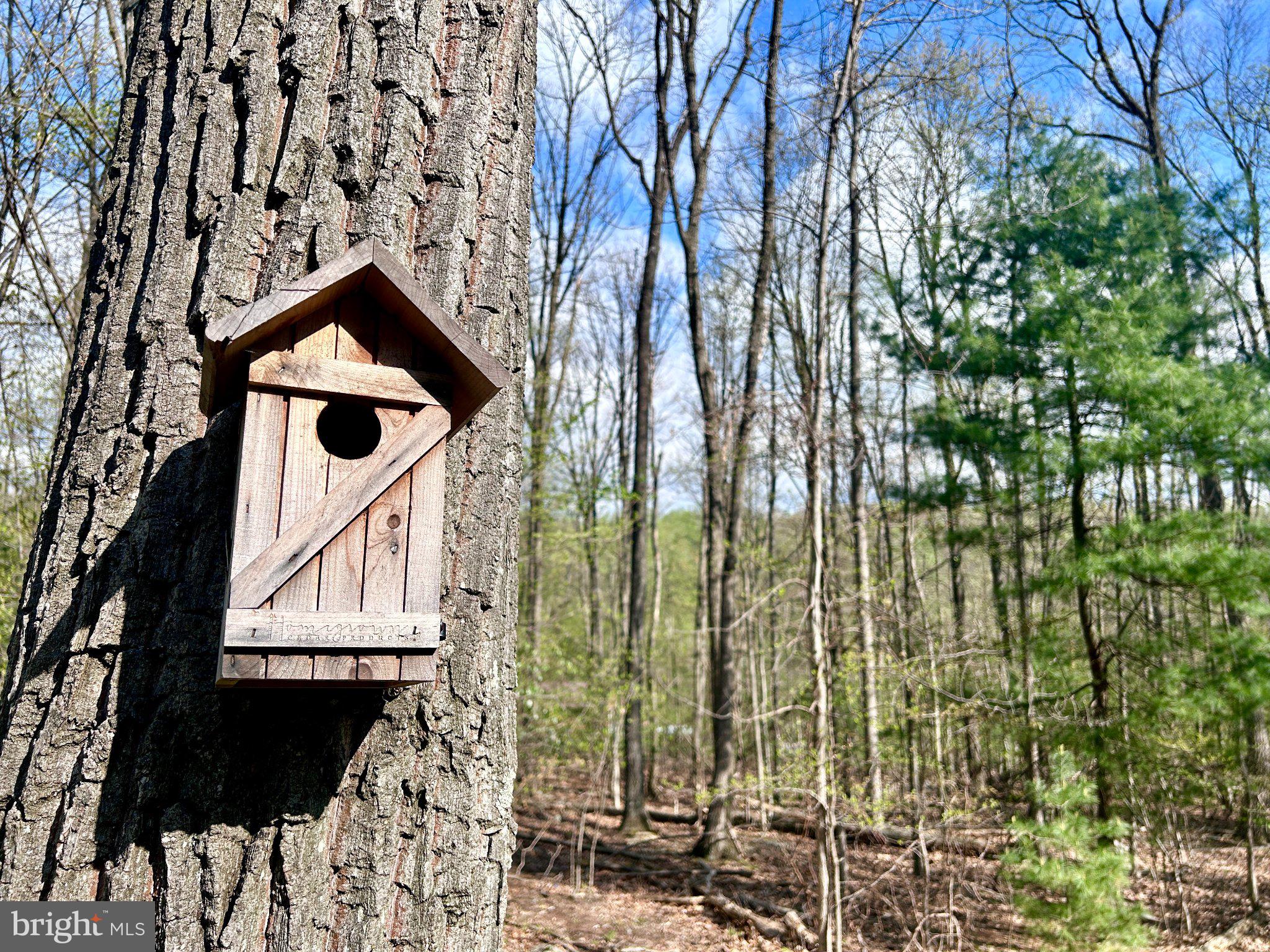 0 Maryland Avenue Aspers, PA 17304 - Photo 11 of 13 Charming birdhouse in serene woods.