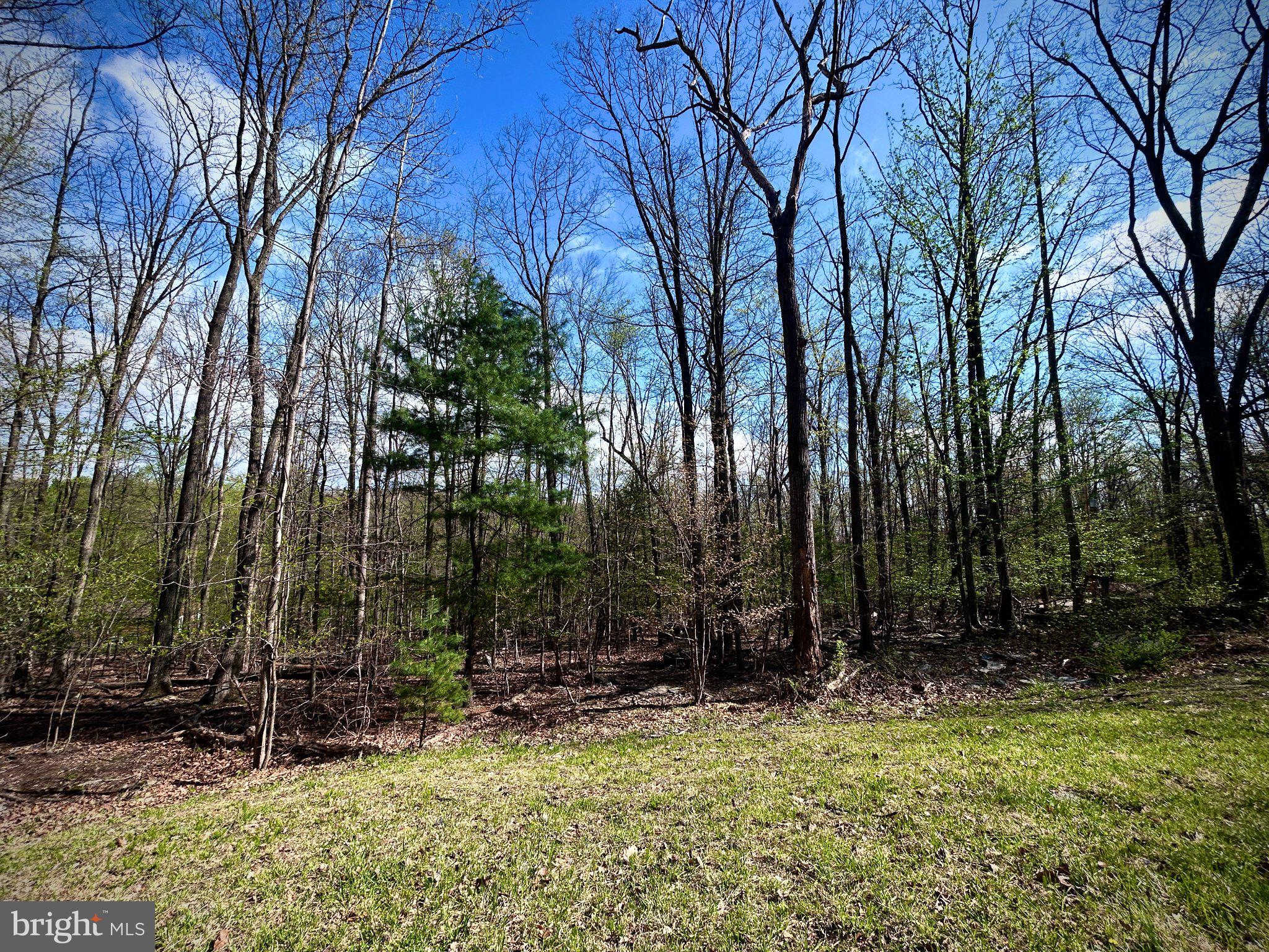 0 Maryland Avenue Aspers, PA 17304 - Photo 12 of 13 Serene woodland retreat awaits you.