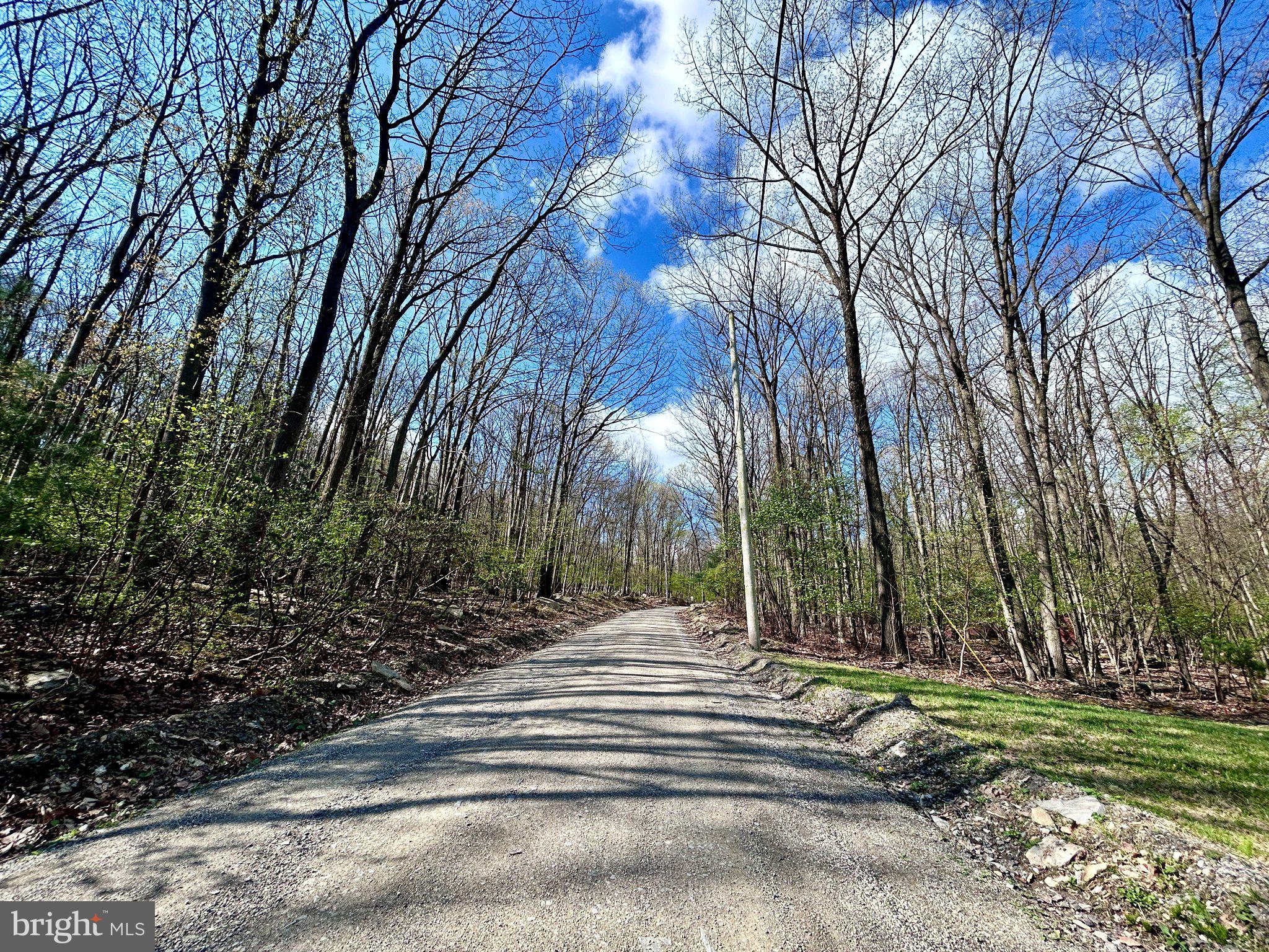 0 Maryland Avenue Aspers, PA 17304 - Photo 13 of 13 Serene path through the woods