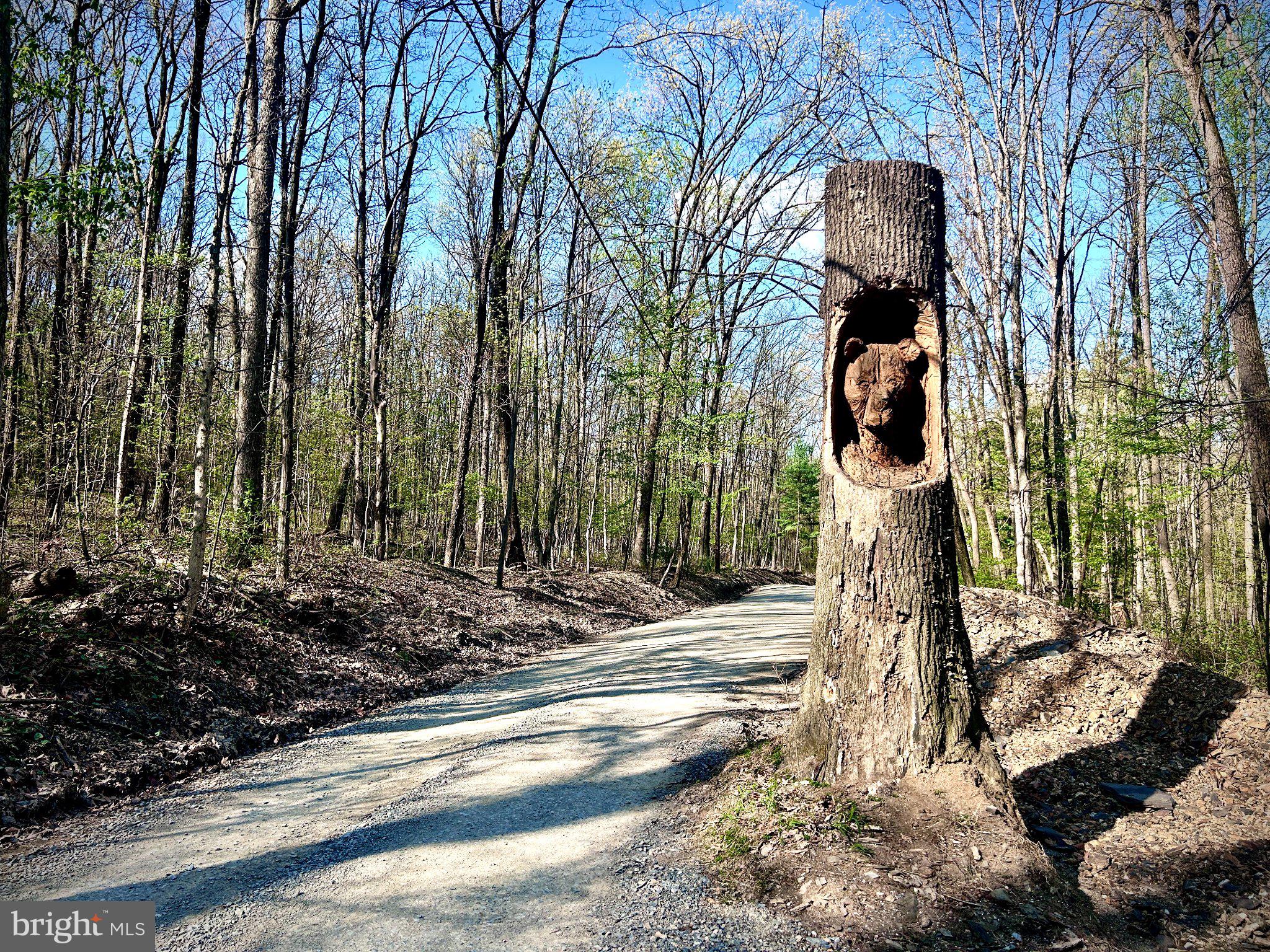 0 Maryland Avenue Aspers, PA 17304 - Photo 2 of 13 Whimsical bear carved in a tree
