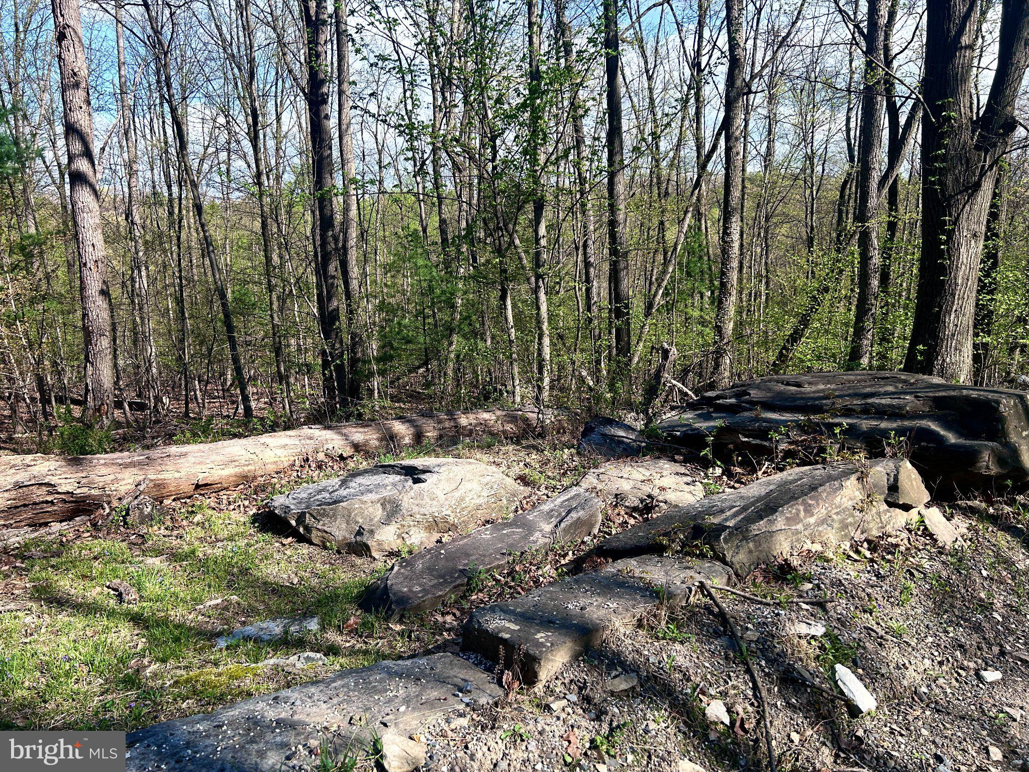 0 Maryland Avenue Aspers, PA 17304 - Photo 3 of 13 Tranquil woodland retreat awaits.