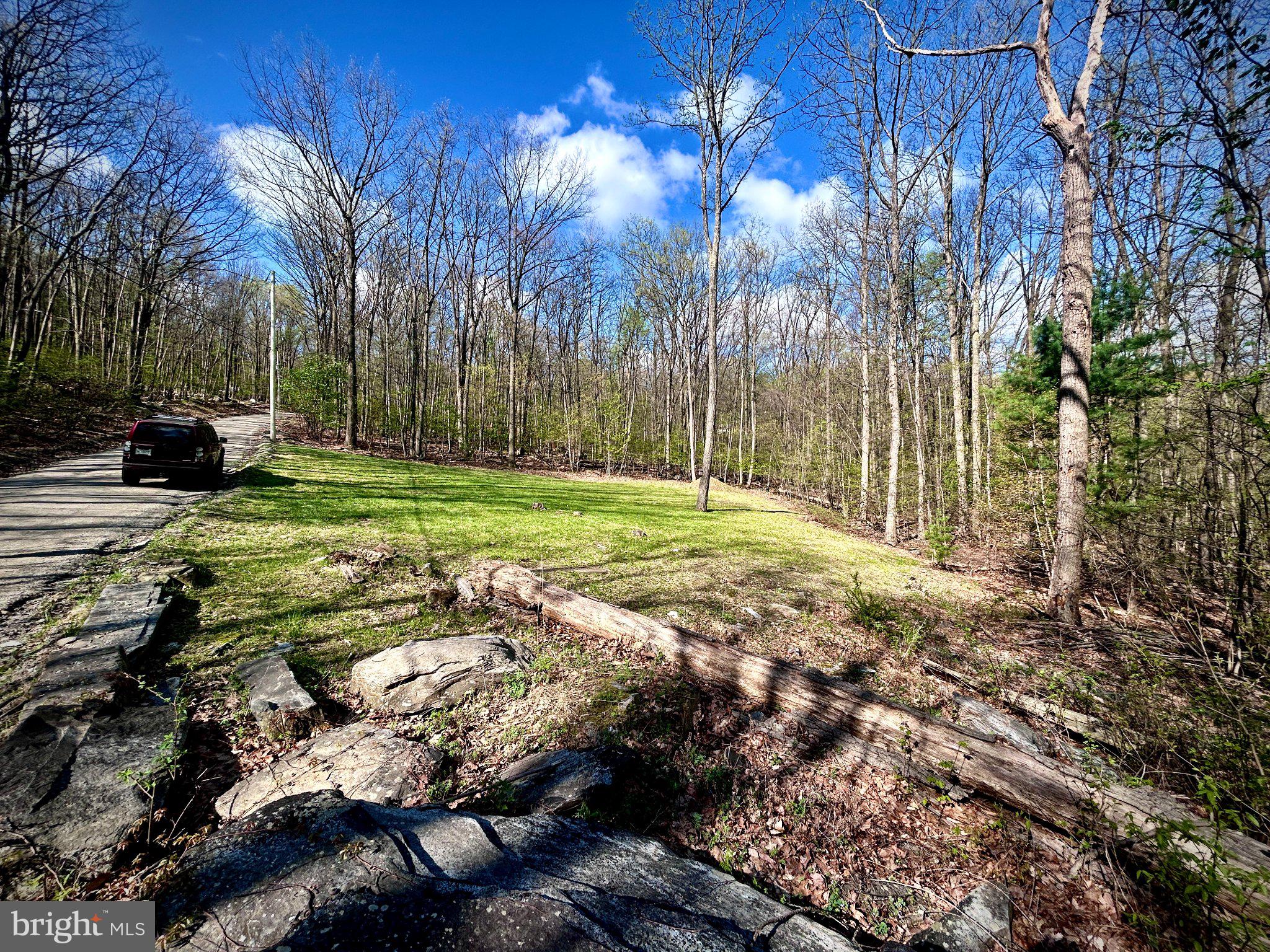 0 Maryland Avenue Aspers, PA 17304 - Photo 4 of 13 Serene woodland retreat awaits you.
