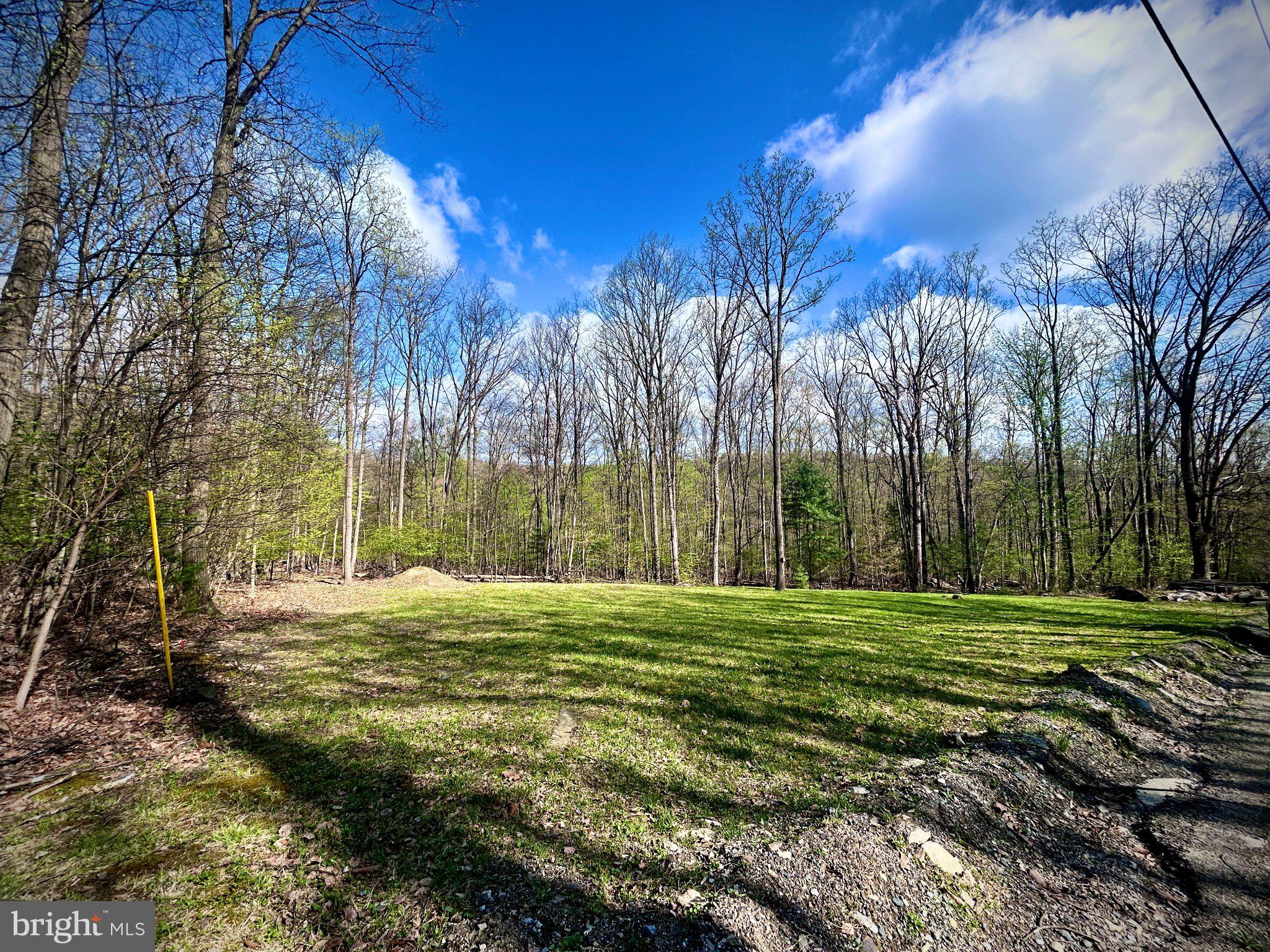 0 Maryland Avenue Aspers, PA 17304 - Photo 5 of 13 Serene clearing amidst lush woods.