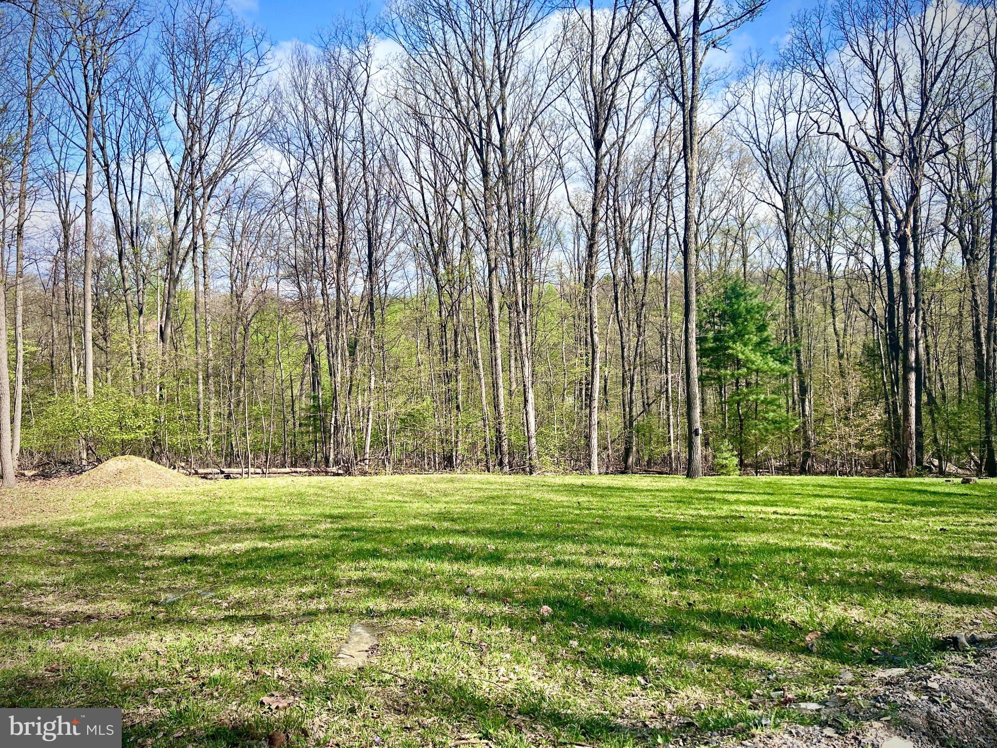 0 Maryland Avenue Aspers, PA 17304 - Photo 6 of 13 Serene clearing by lush woodlands.