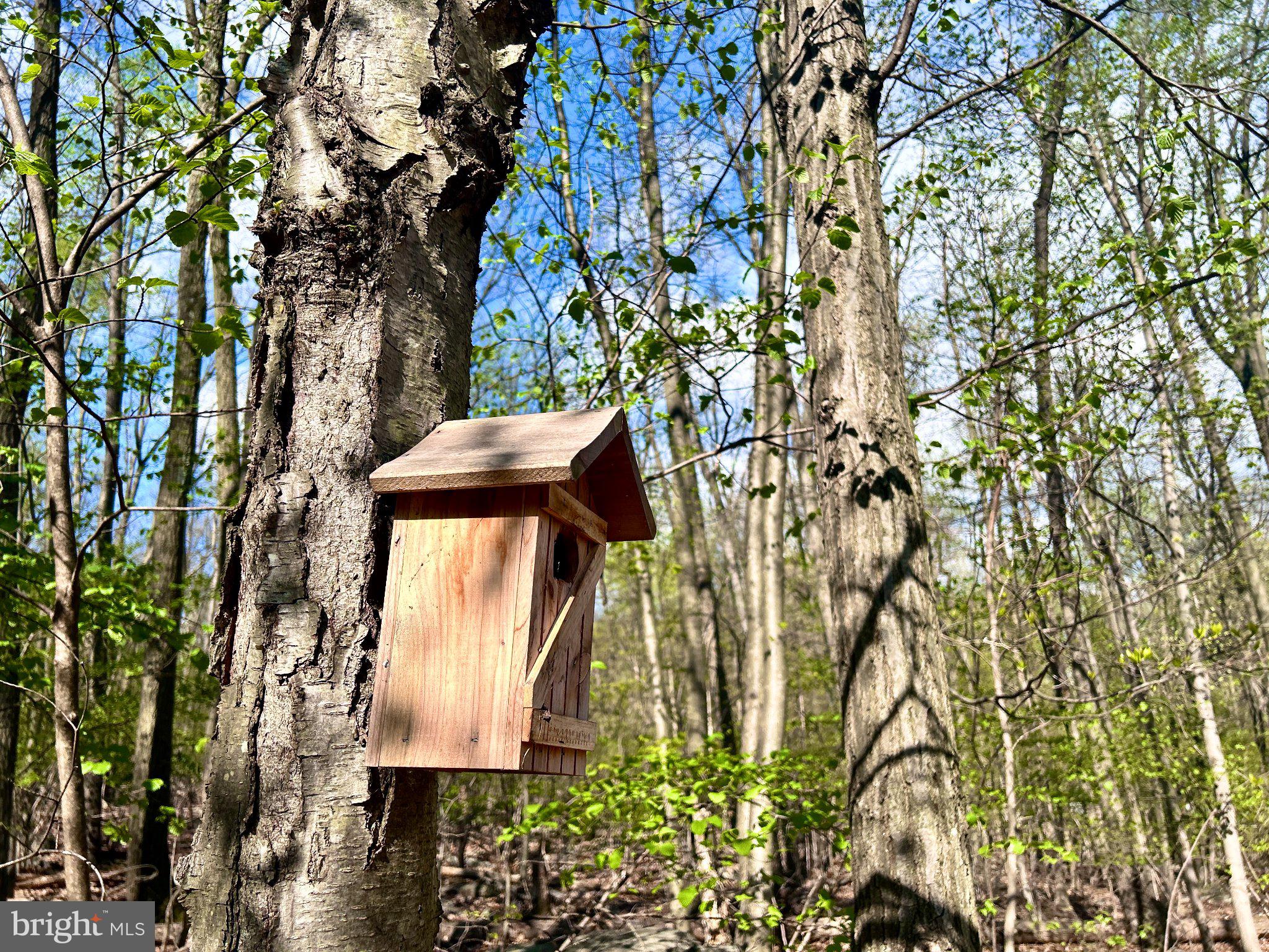0 Maryland Avenue Aspers, PA 17304 - Photo 8 of 13 Charming birdhouse in serene woods.