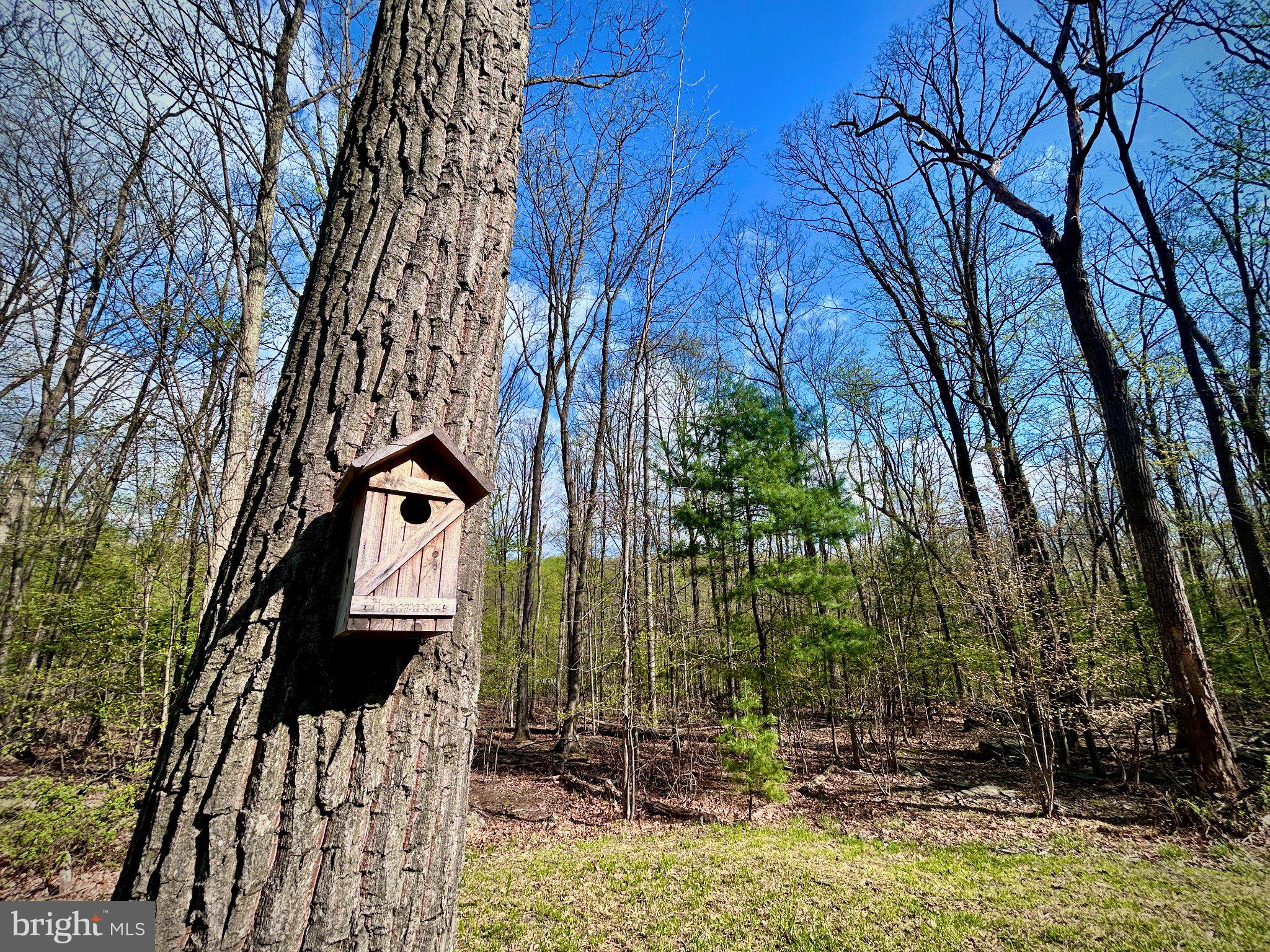 0 Maryland Avenue Aspers, PA 17304 - Photo 10 of 13 Charming birdhouse in serene woods.