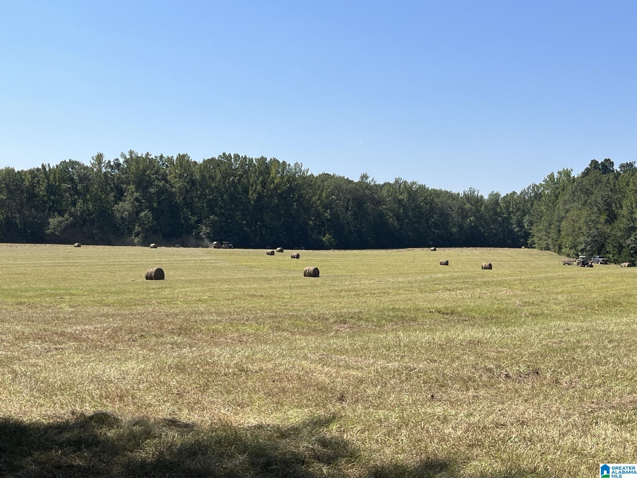 3653 Tabernacle Road Ethelsville, AL 35461 - Photo 2 of 9