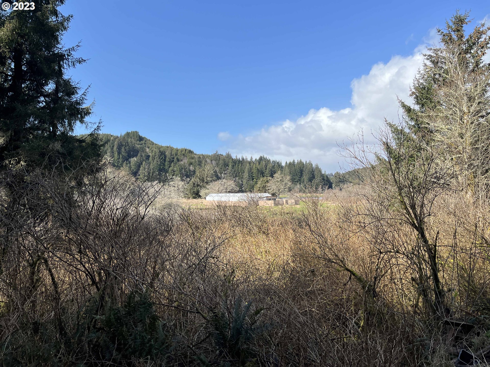 5844 North Fork Road Florence, OR 97439 - Photo 47 of 48 Gallery Image 47