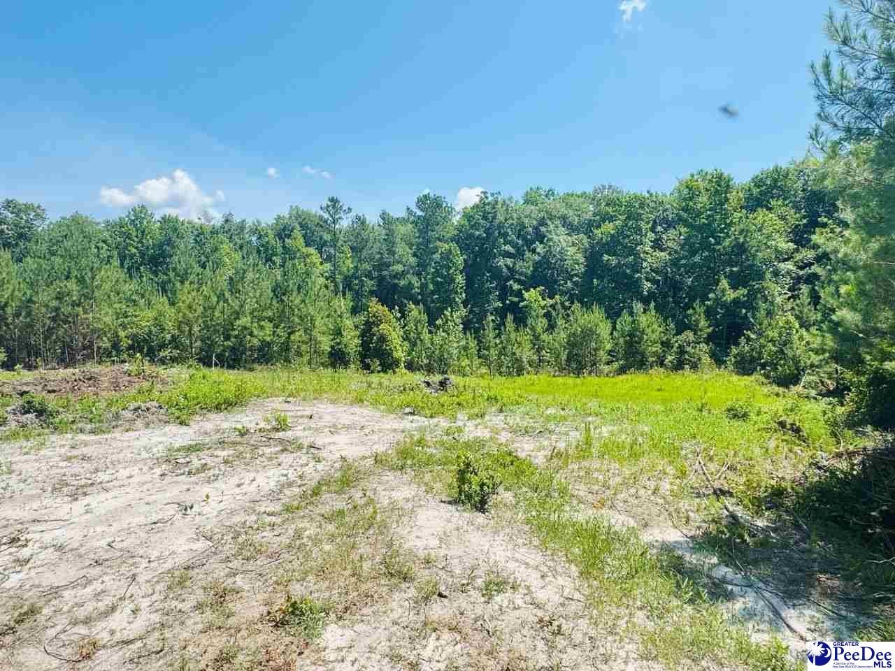878 Beaver Run Road Hartsville, SC 29550 - Photo 13 of 20 Gallery Image 13