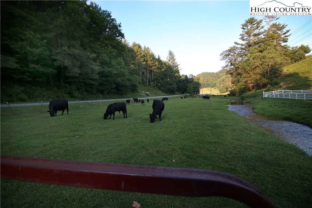 997 Bethel Road Sugar Grove, NC 28679 - Photo 31 of 40 Gallery Image 31