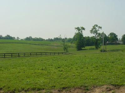 View of terrain with manager's home at r