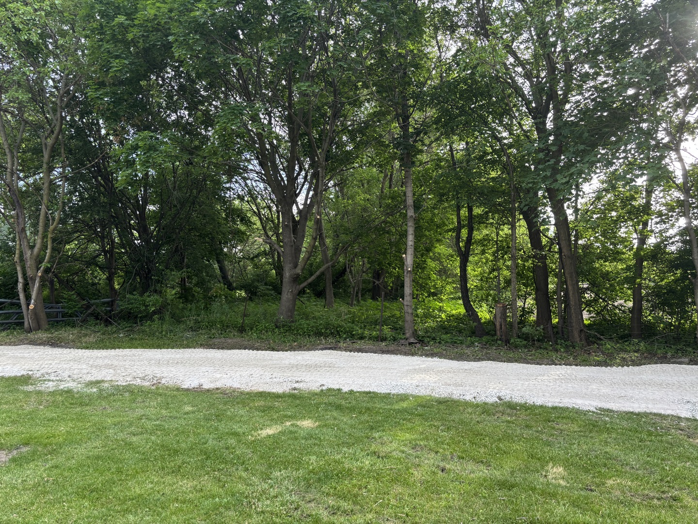 403 Rhodes Avenue Big Rock, IL 60511 - Photo 46 of 48 a view of backyard with green space