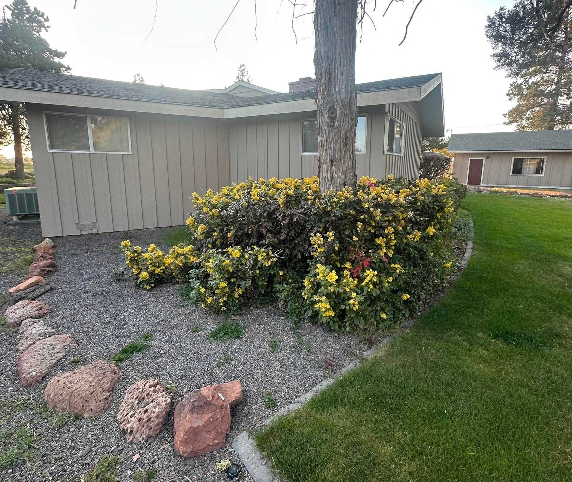 165 Southwest Crestview Lane Madras, OR 97741 - Photo 57 of 68 in bloom