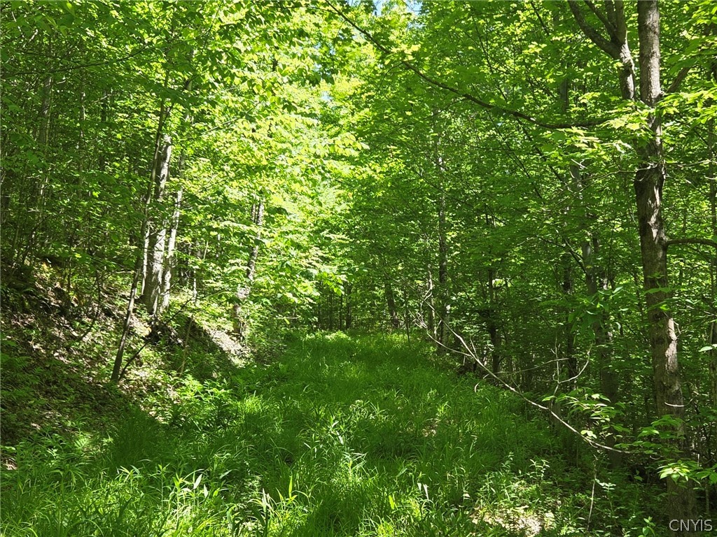 446 Nys Route Cuba, NY 14727 - Photo 35 of 47