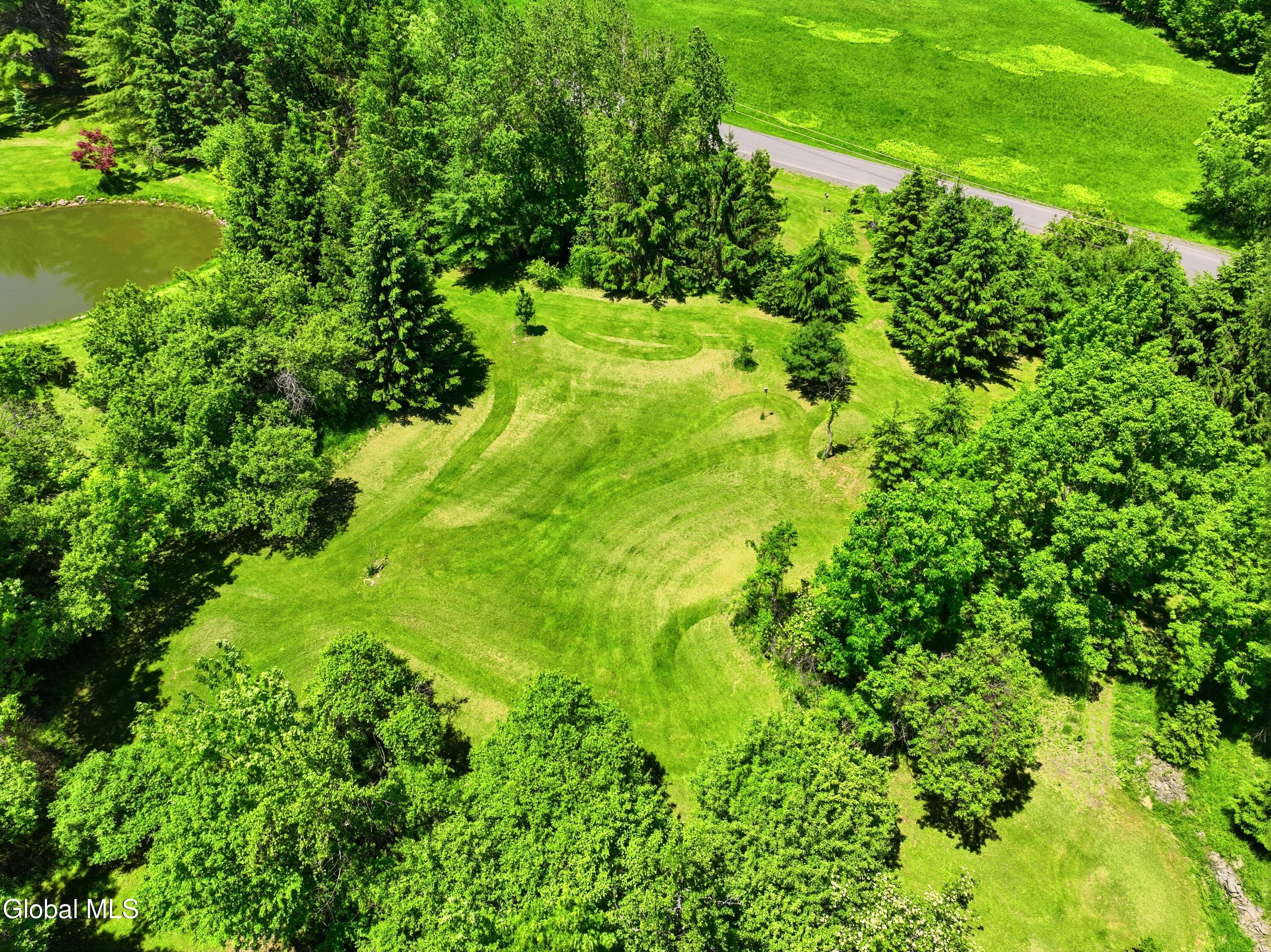 285 Bridge Road Berne, NY 12023 - Photo 40 of 49 DJI_0201