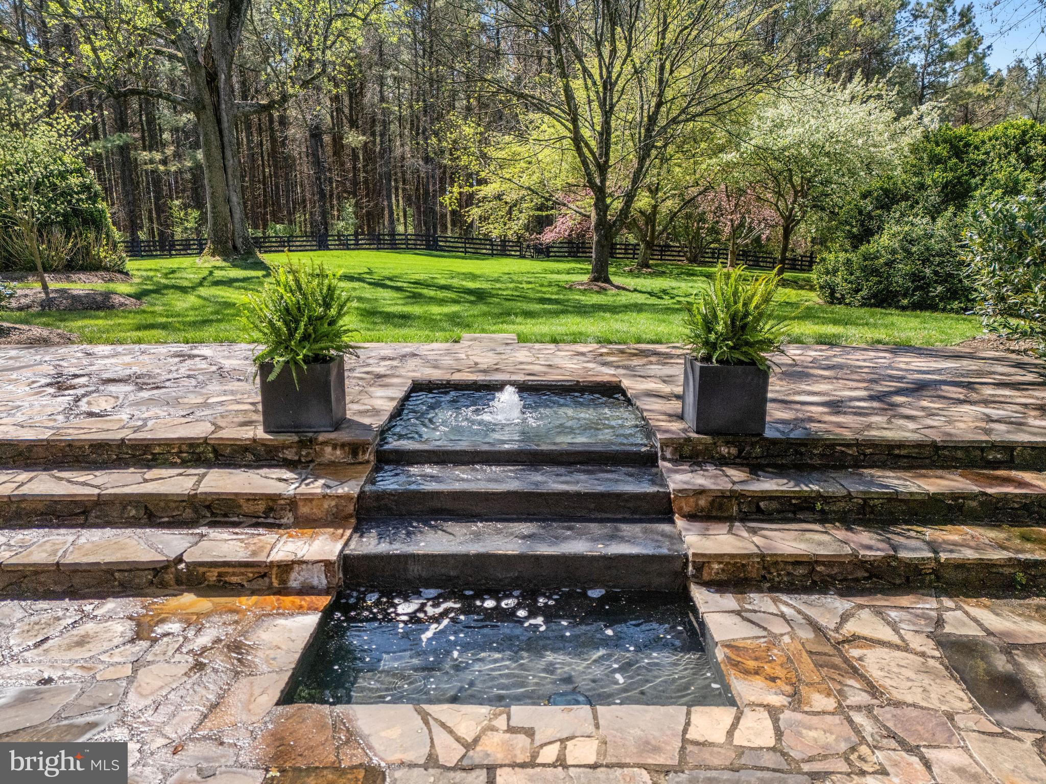3252 Winchester Road Delaplane, VA 20144 - Photo 51 of 74 a view of a garden with plants