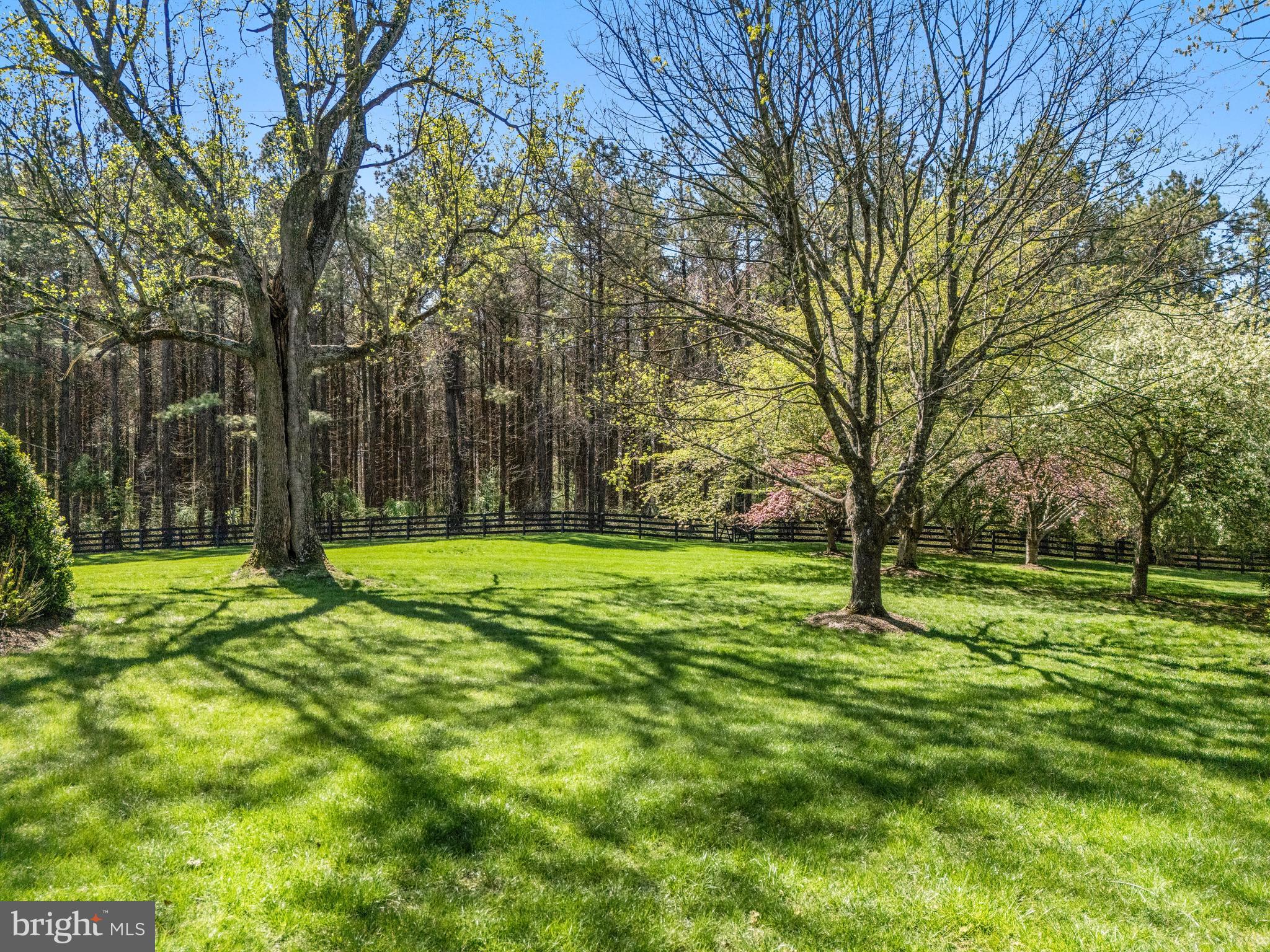 3252 Winchester Road Delaplane, VA 20144 - Photo 64 of 74 a view of a backyard with large trees