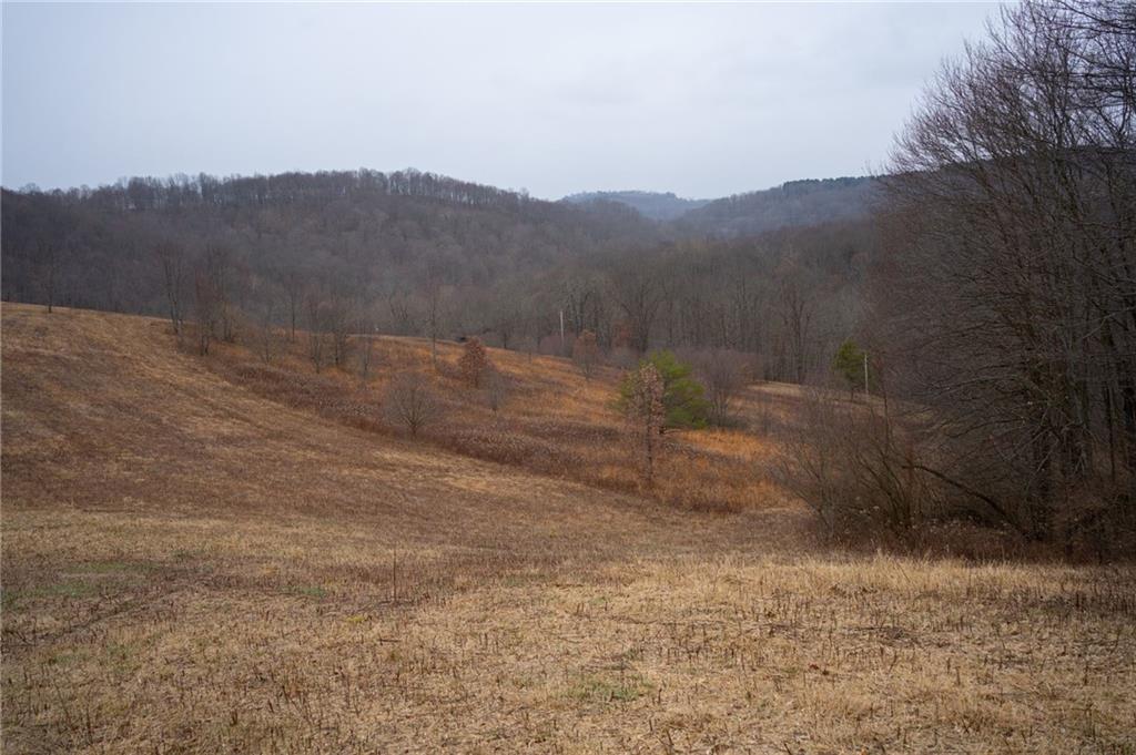 0 Rush Road Wind Ridge, PA 15380 - Photo 3 of 19