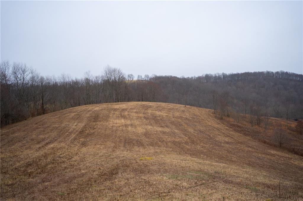 0 Rush Road Wind Ridge, PA 15380 - Photo 4 of 19