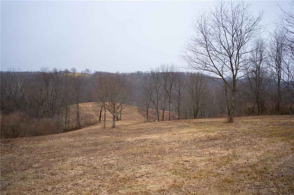 0 Rush Road Wind Ridge, PA 15380 - Photo 5 of 19