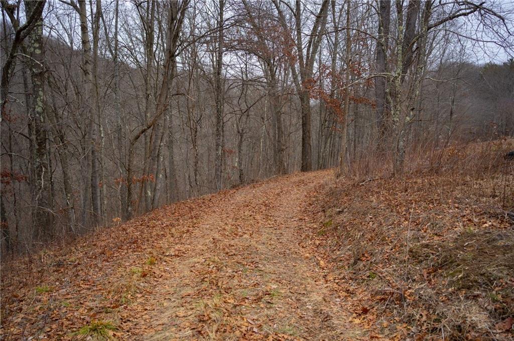0 Rush Road Wind Ridge, PA 15380 - Photo 6 of 19