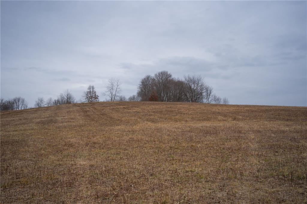 0 Rush Road Wind Ridge, PA 15380 - Photo 8 of 19