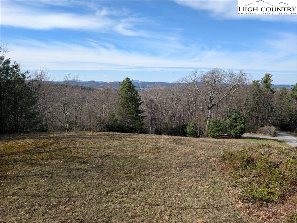 718 Green Mountain Road Sparta, NC 28675 - Photo 20 of 30