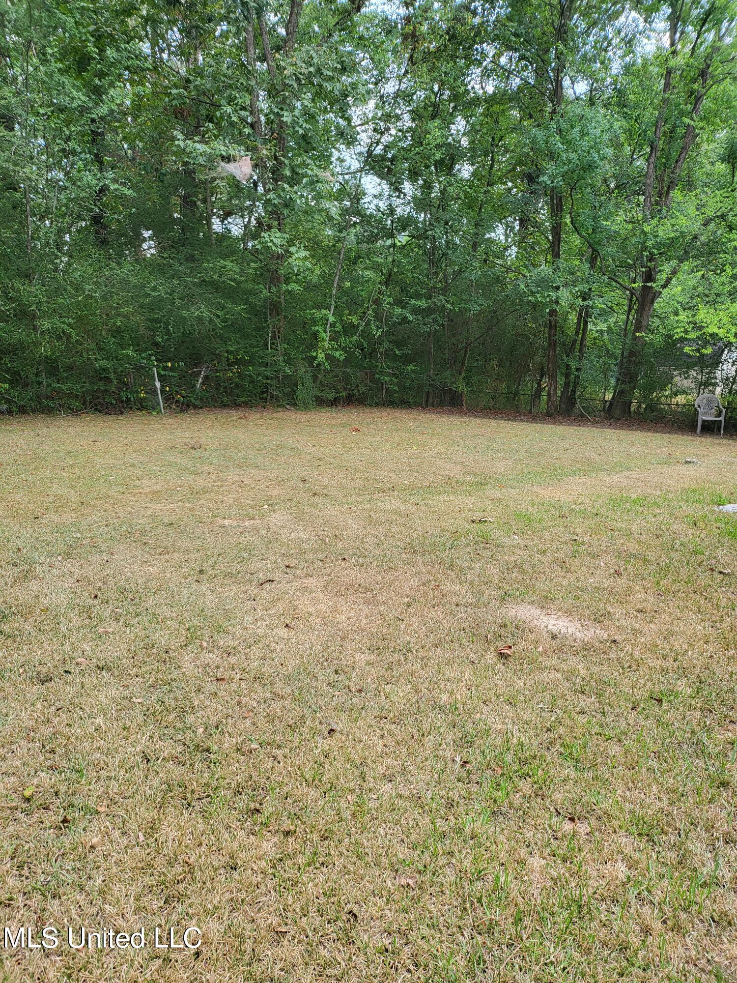 331 Barnes Street Jackson, MS 39206 - Photo 11 of 13 20230825_141538