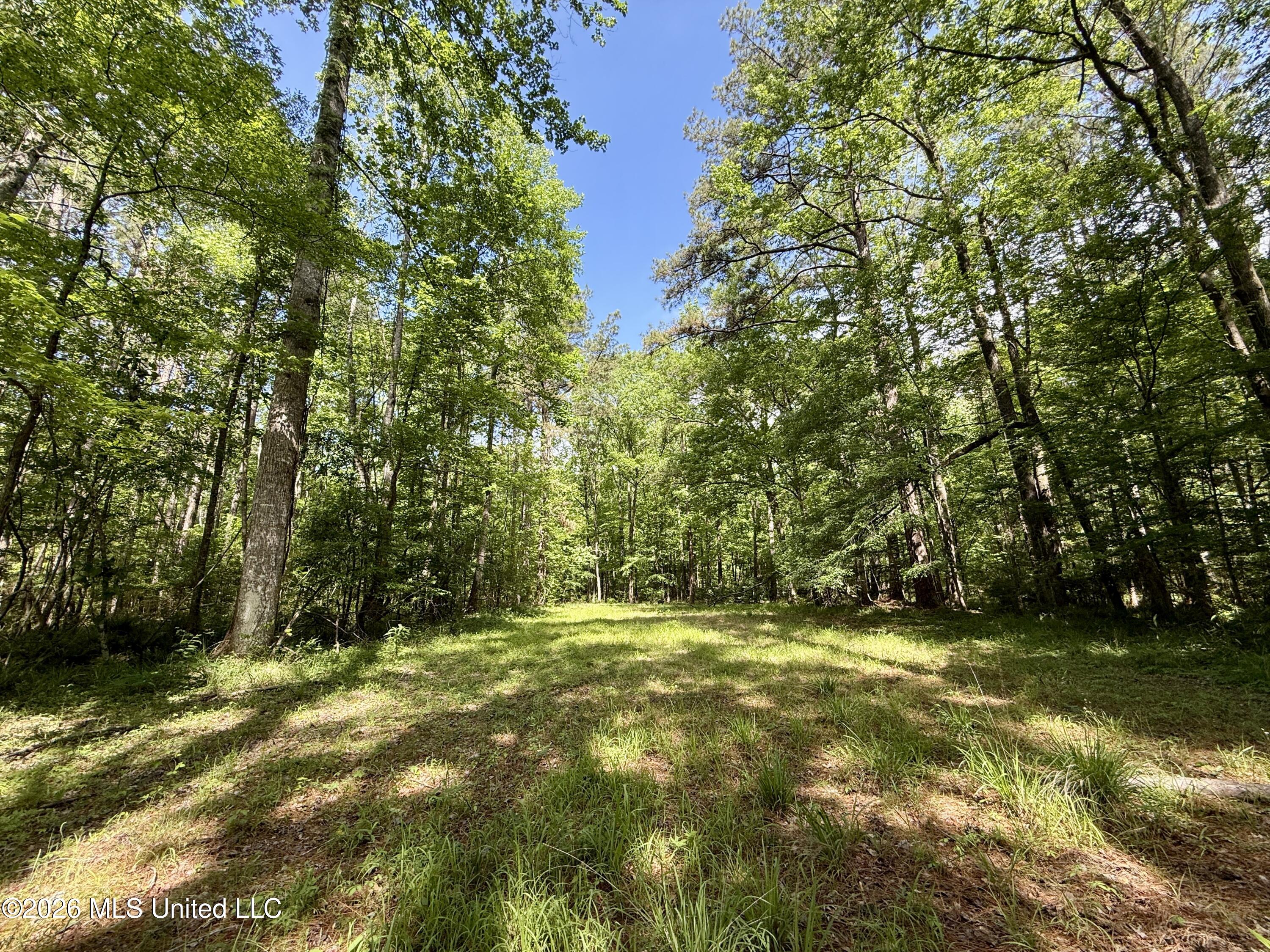 1781 Tom Crum Road Crosby, MS 39633 - Photo 38 of 49 IMG_2572