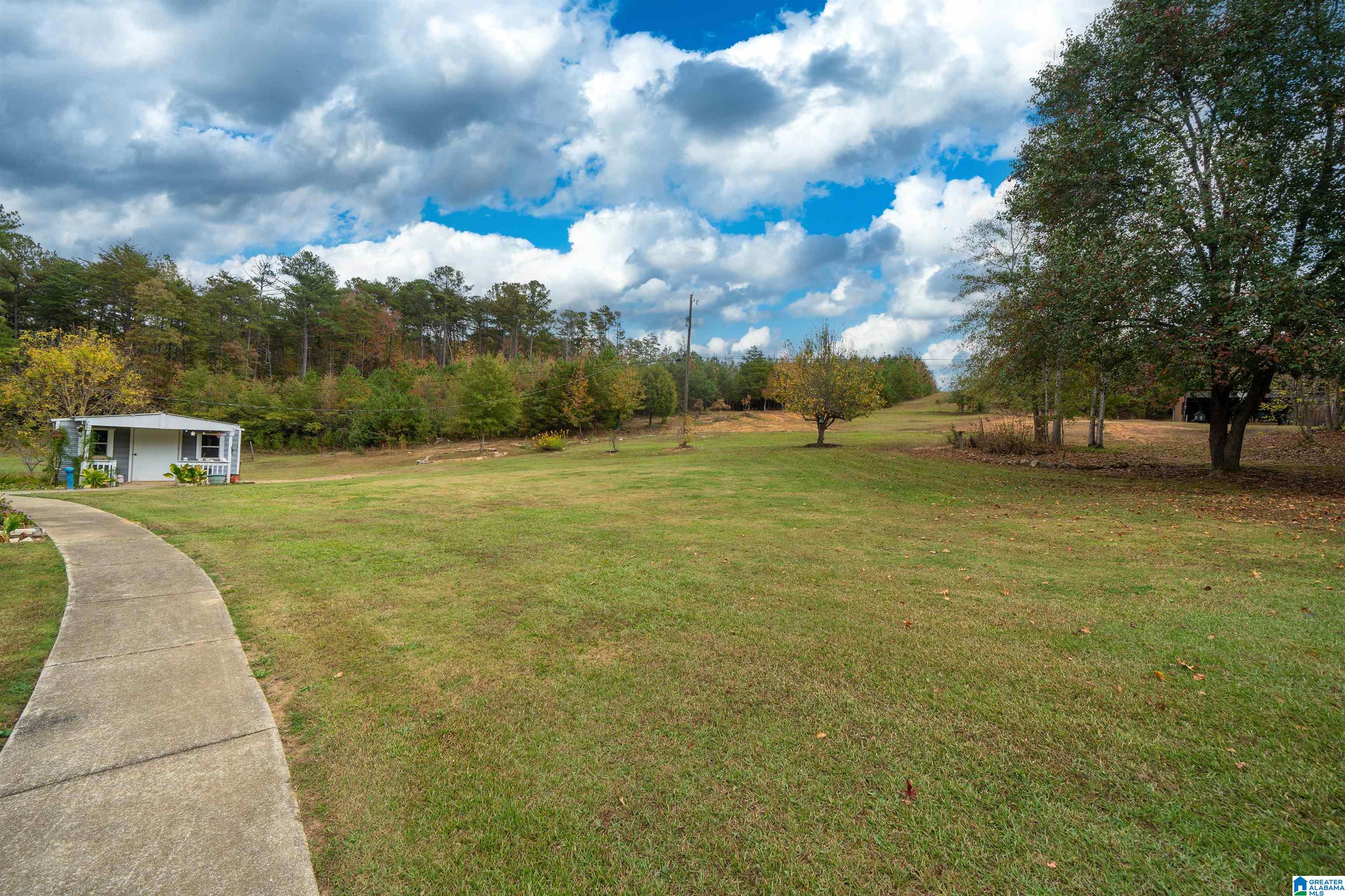 3912 Valley Ford Road Adger, AL 35006 - Photo 26 of 47