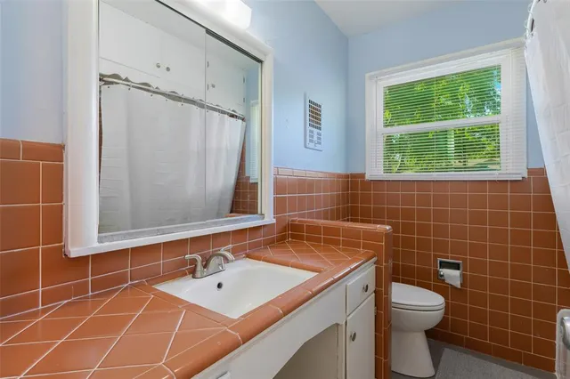 a bathroom with a sink a toilet and a shower
