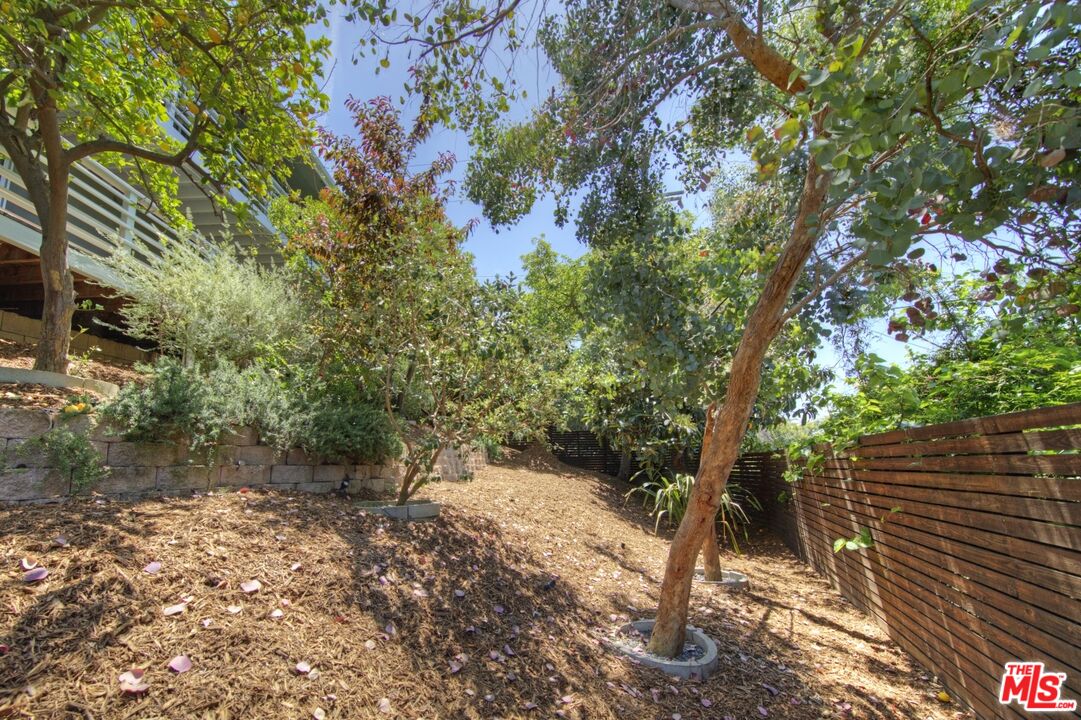 1423 Elevado Street Los Angeles, CA 90026 - Photo 50 of 51 a view of a forest with trees