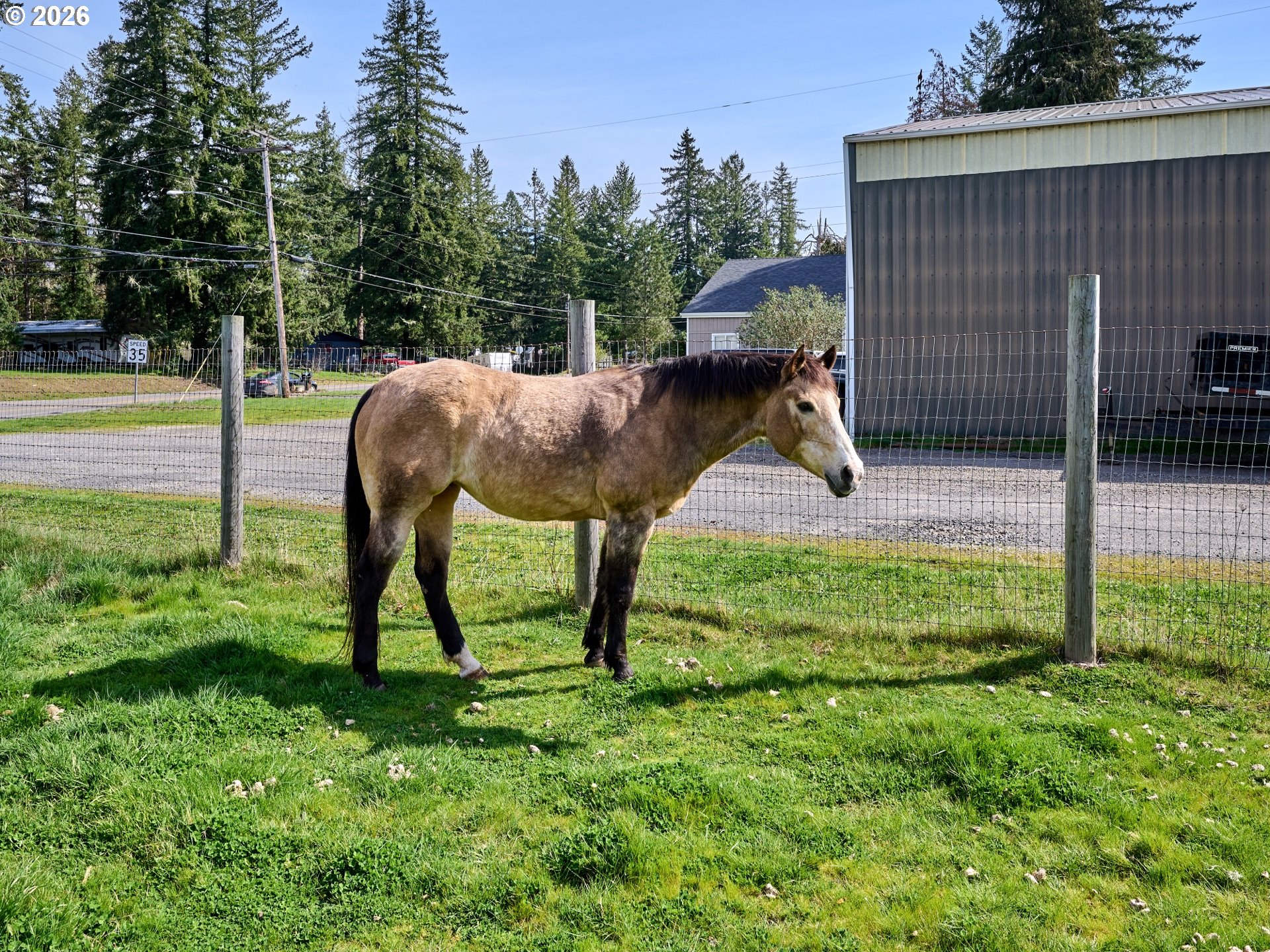 40299 Gates School Road Gates, OR 97346 - Photo 29 of 45