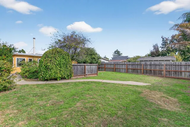 a view of a backyard