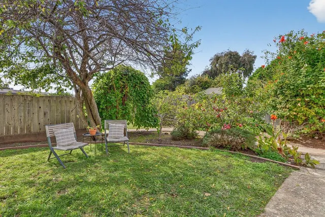 a view of a chair and table in the garden