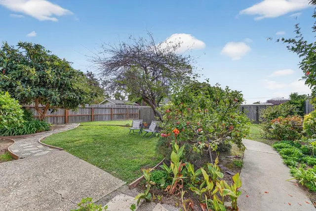 a view of a flower in a garden