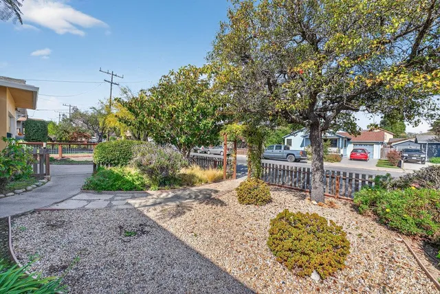 a view of a park with plants and trees