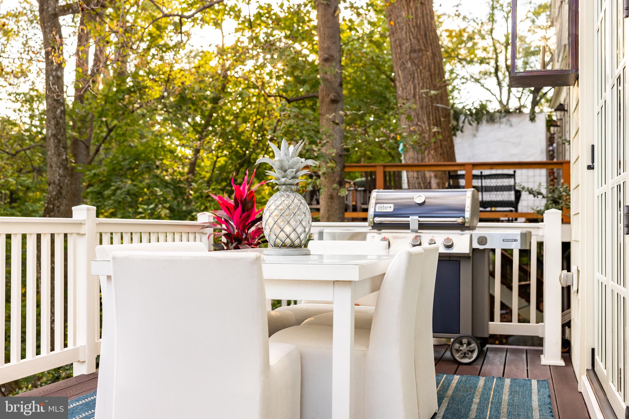 3300 Newark Street Northwest Washington, DC 20008 - Photo 21 of 50 Rear Deck with Gas Line