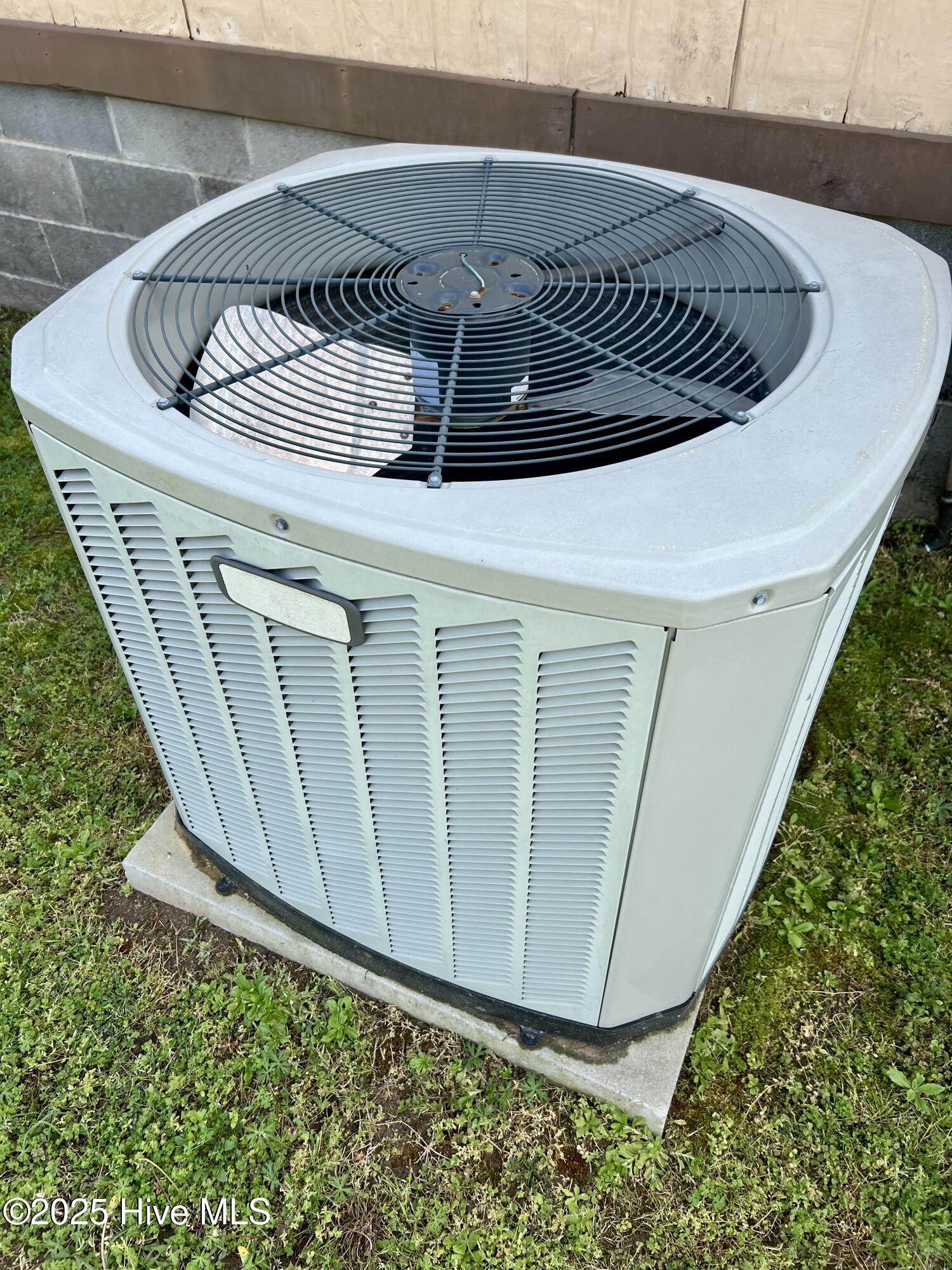 7335 Shallingtons Mill Road Macclesfield, NC 27852 - Photo 15 of 19 IMG_2885