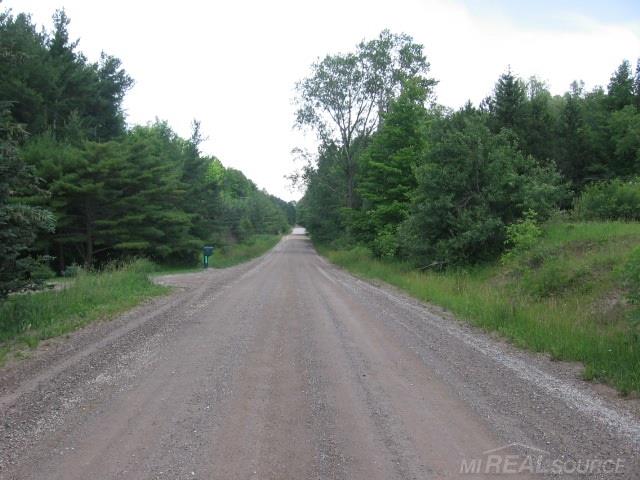 Tbd Burns Line Croswell, MI 48422 - Photo 19 of 19