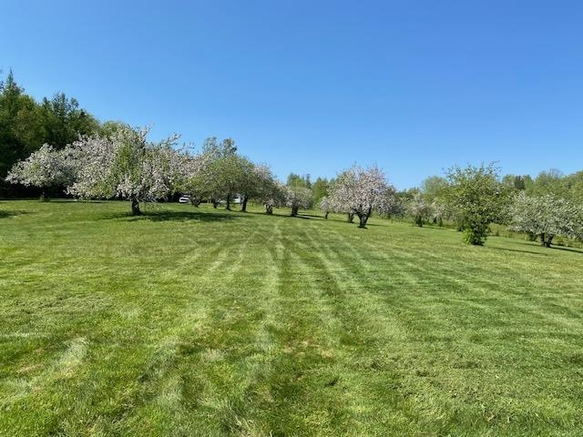 0 Reed Road Colebrook, NH 03576 - Photo 22 of 25