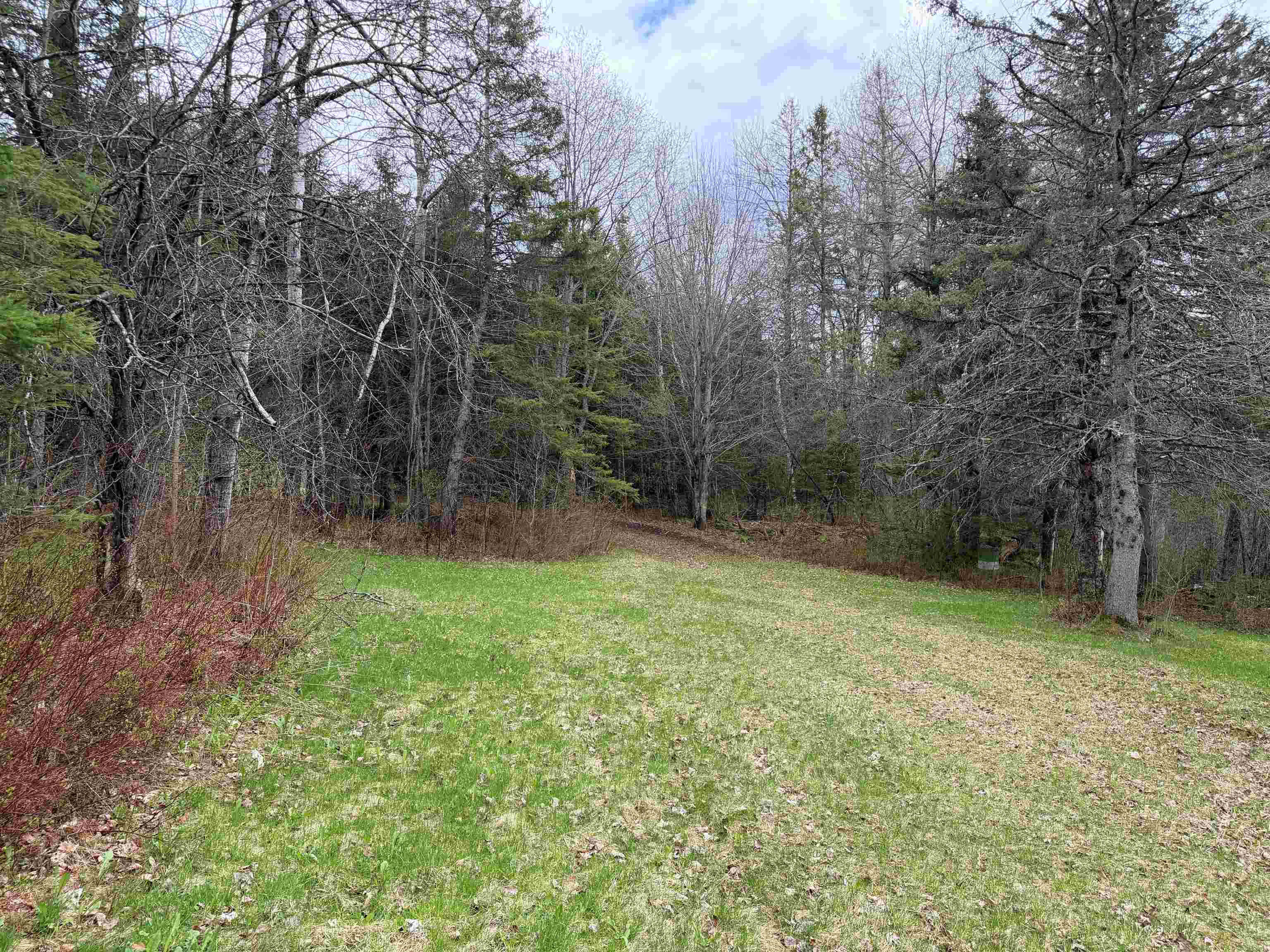 0 Reed Road Colebrook, NH 03576 - Photo 25 of 25