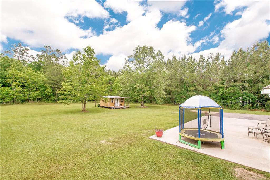 31396 Pea Ridge Road Albany, LA 70711 - Photo 6 of 31