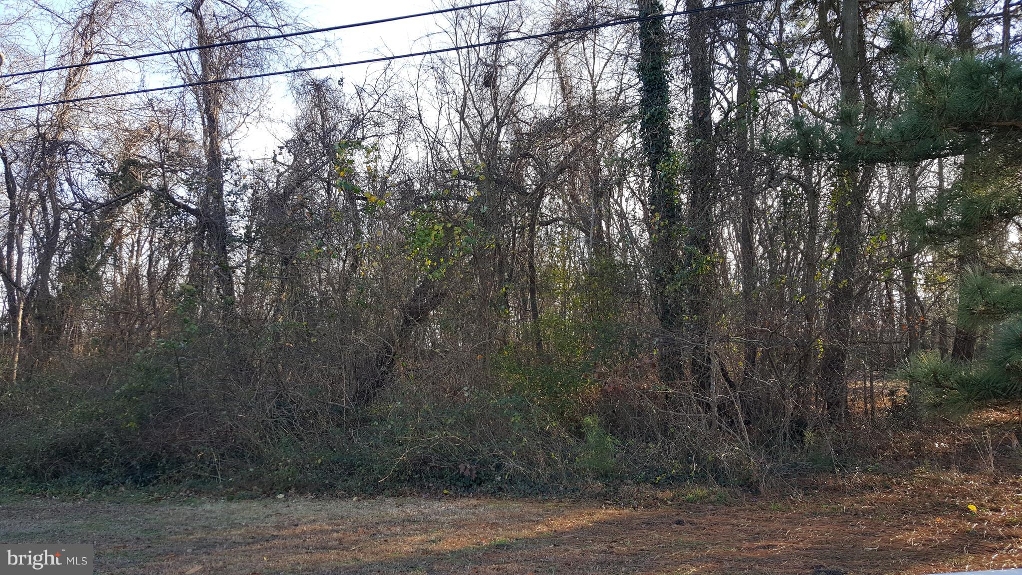 Lot 5 Harrison Road Deal Island, MD 21821 - Photo 1 of 12 High elevation. Great location to built home