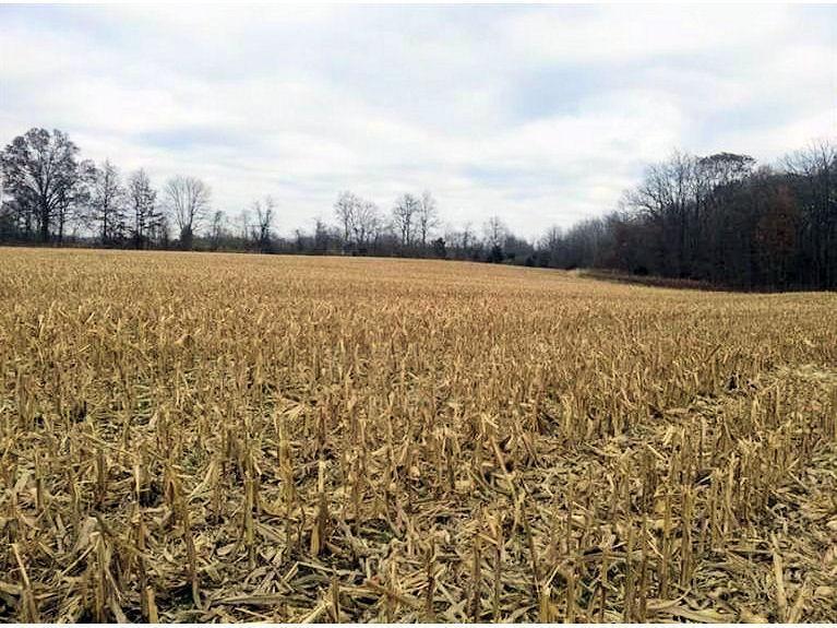 14.515-ac Weisburg Road Sunman, IN 47041 - Photo 1 of 1 Gallery Image 1