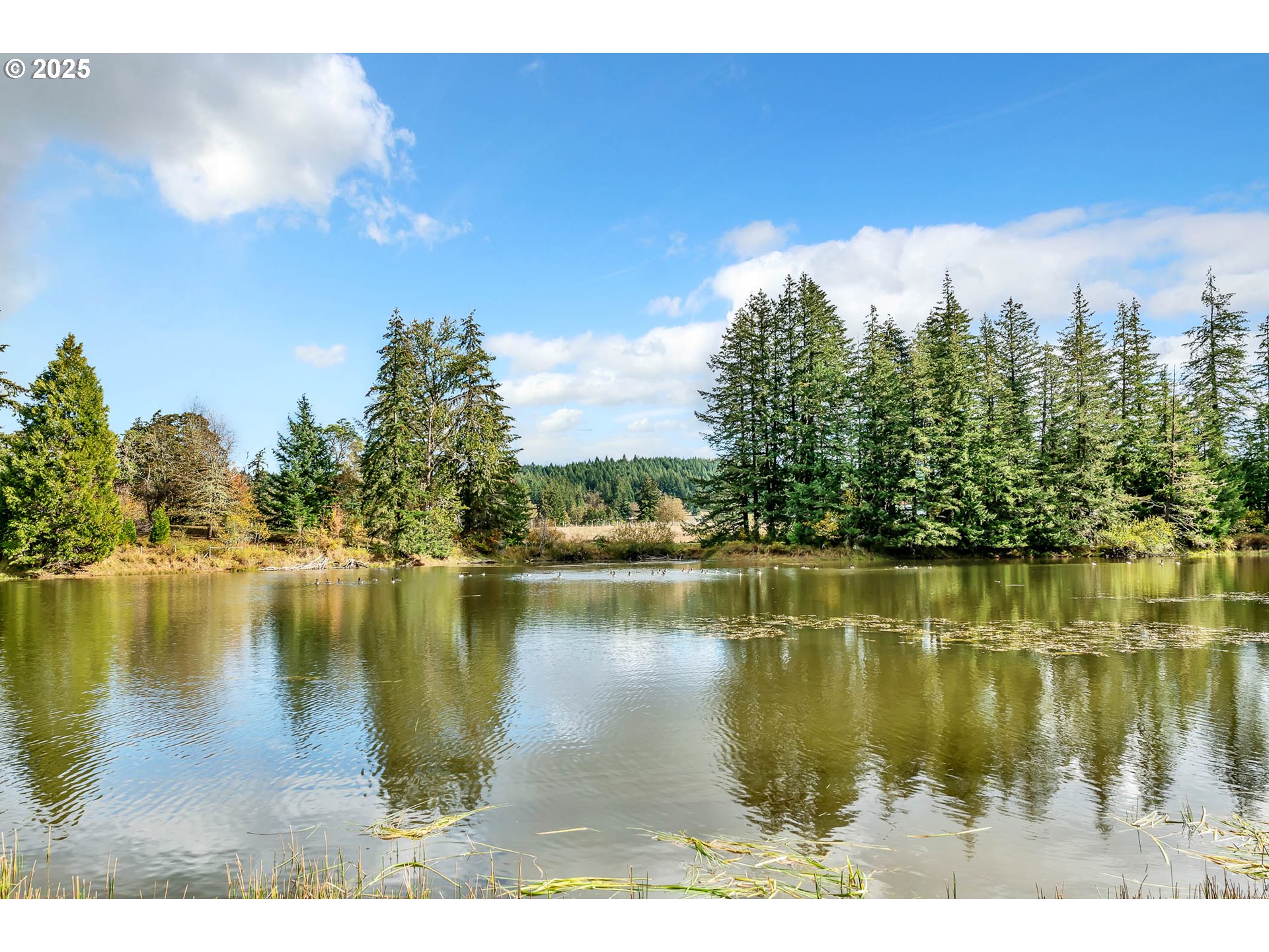 26860 Pickens Road Eugene, OR 97402 - Photo 27 of 48 Gallery Image 27