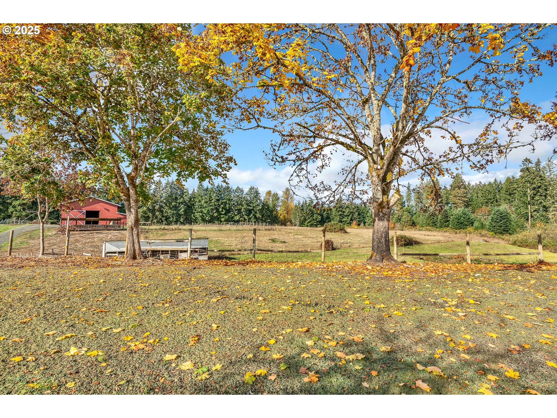 26860 Pickens Road Eugene, OR 97402 - Photo 29 of 48 Gallery Image 29
