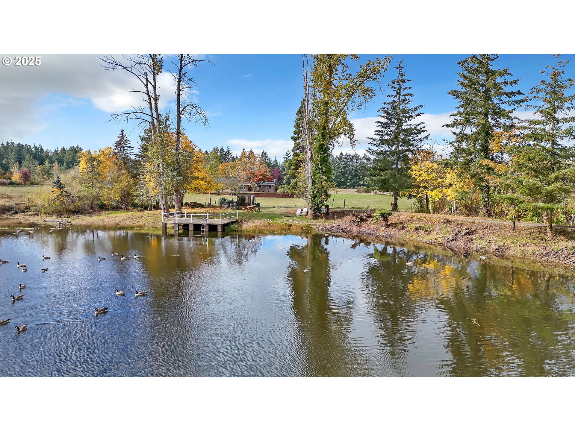 26860 Pickens Road Eugene, OR 97402 - Photo 3 of 48 Gallery Image 3