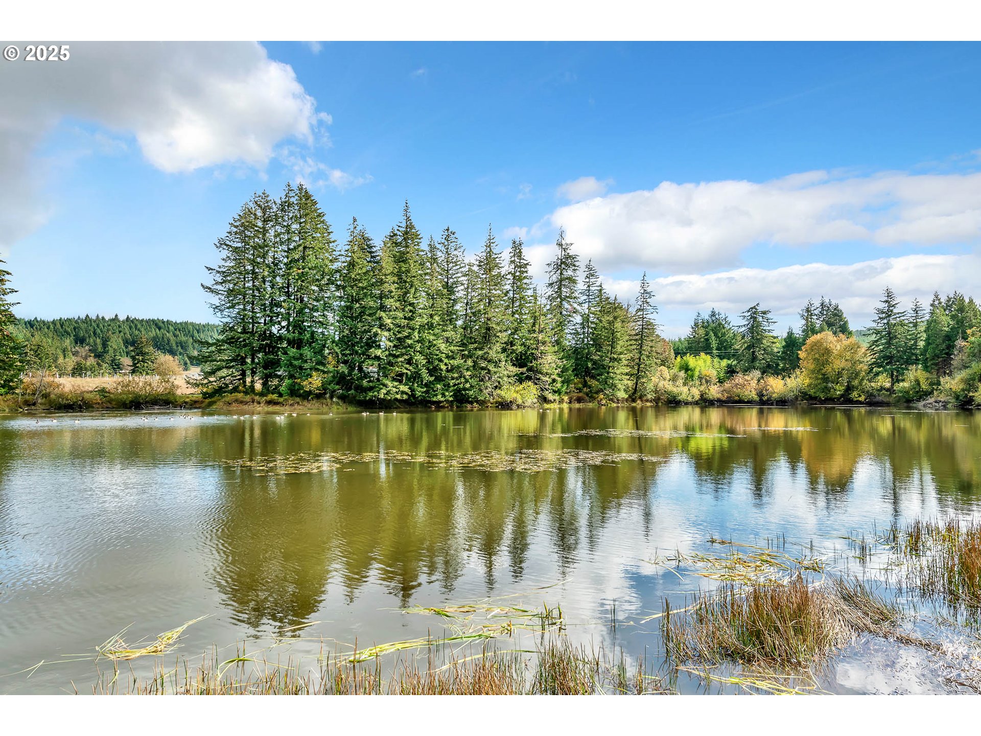 26860 Pickens Road Eugene, OR 97402 - Photo 41 of 48 Gallery Image 41