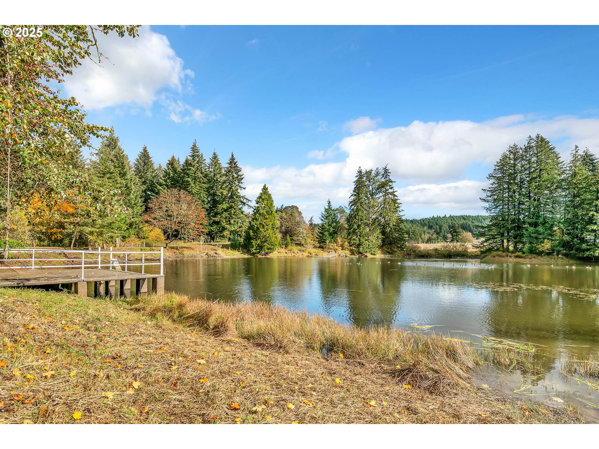 26860 Pickens Road Eugene, OR 97402 - Photo 48 of 48 Gallery Image 48